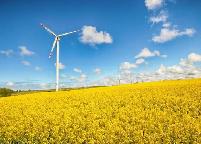 Сasa de vacaciones Relaxing Seaside Getaway *